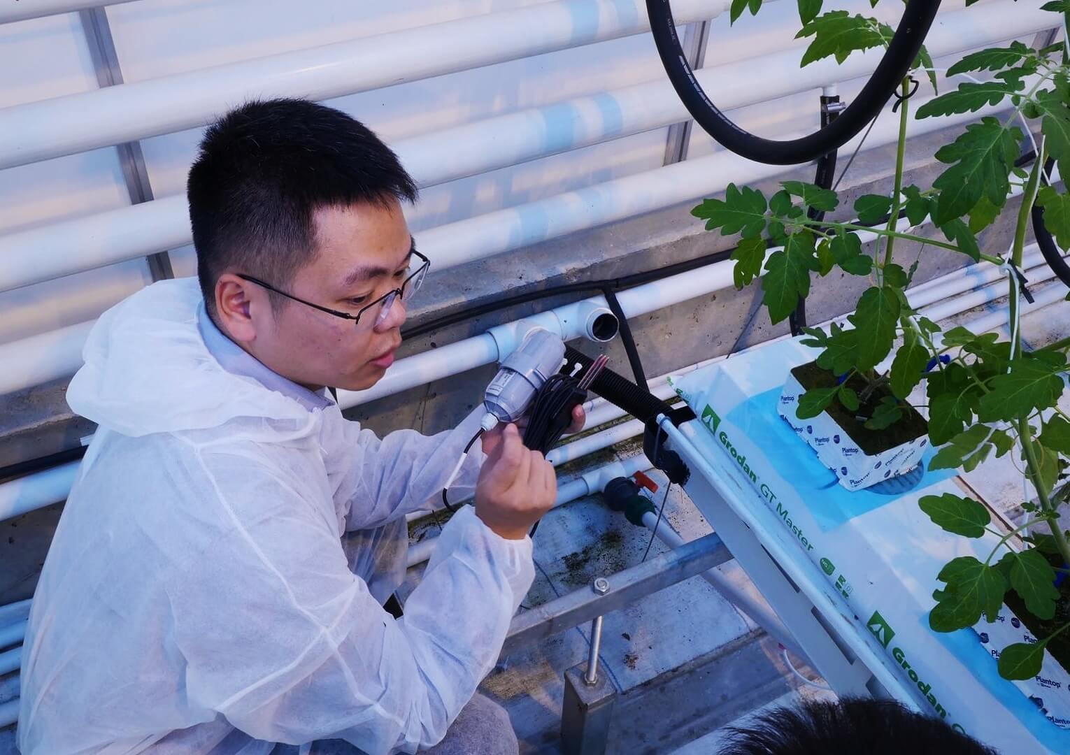 温室園芸のSDGs推進：SenseCAP LoRaWANによるチェリートマト農園の自律型グリーンハウス構築