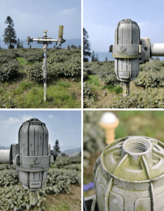 中国・蒙頂山の高山茶園におけるSenseCAP LoRaWAN導入事例：資源効率化と顧客信頼構築によるSDGs達成への貢献