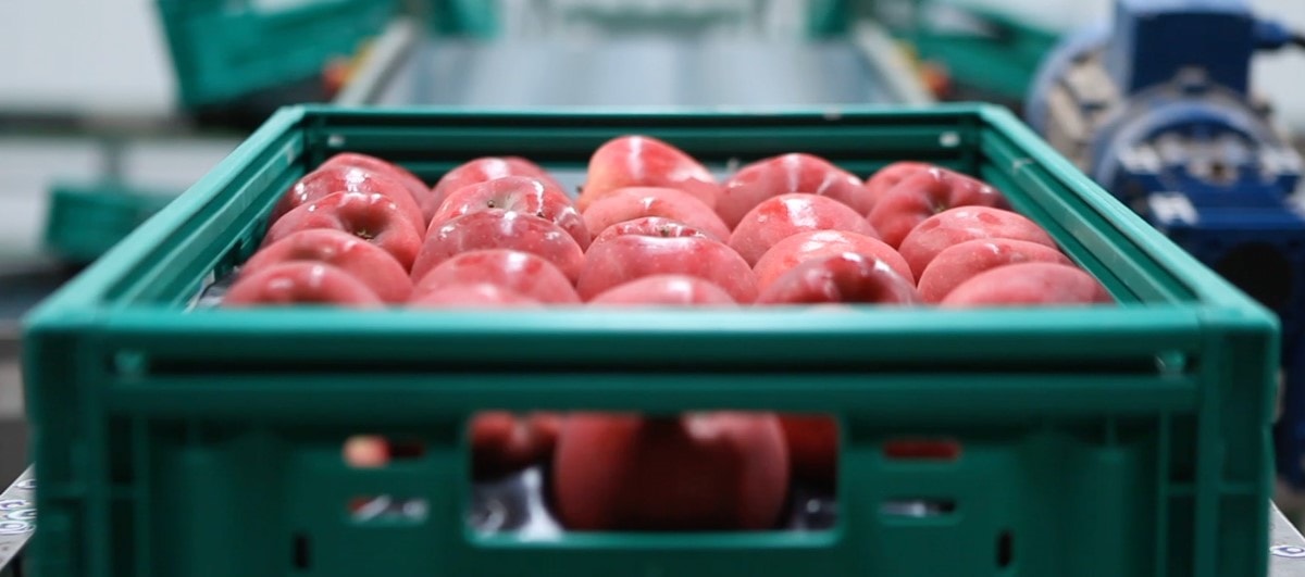 ODMケーススタディ：reTerminalを搭載したスマート梱包システム