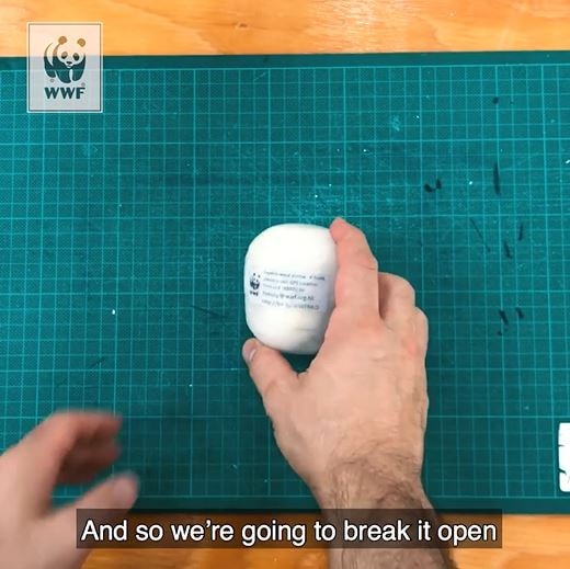 Marine Litter Detective Internal Components