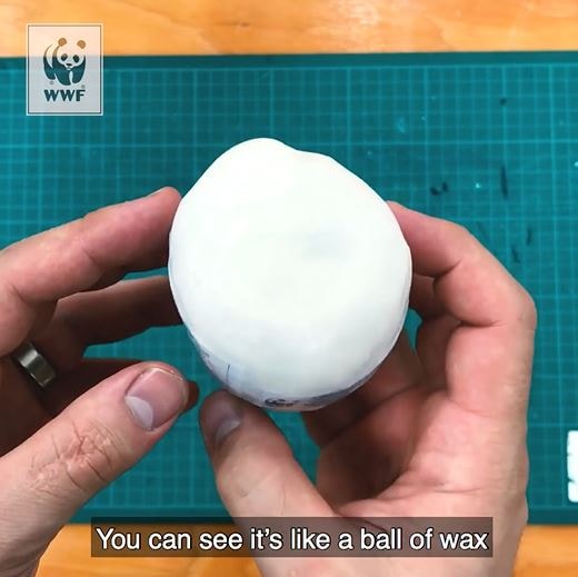 Marine Litter Detective Internal Components