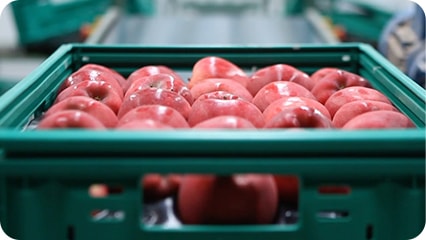 スマート・フルーツ・パッキング・システム