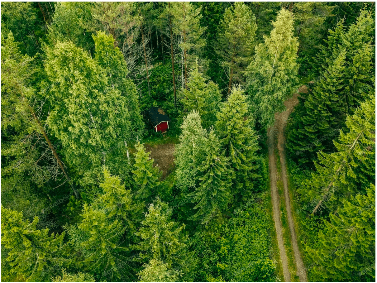 Raspberry Pi搭載カスタムHMIで森林レンジャーを支援