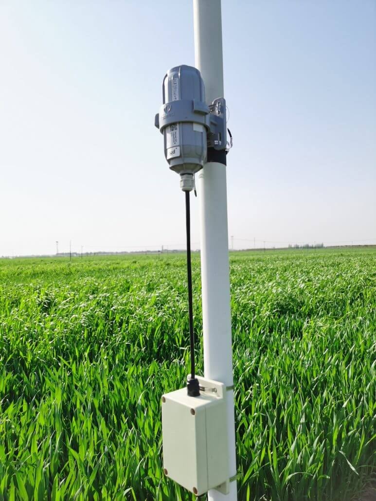 穀物農業の精密化:SenseCAP LoRaWANによる河北省定州市ライコムギ農場の環境監視システム構築