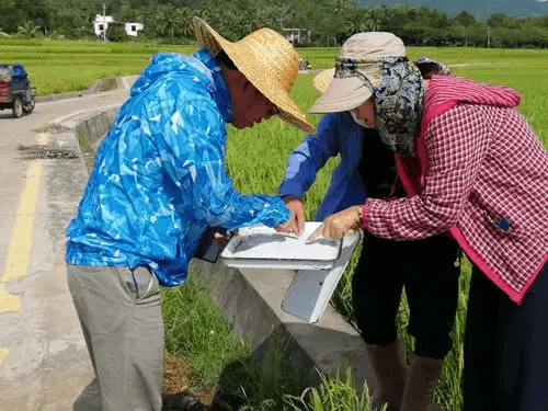 水稲監視ソリューション概要