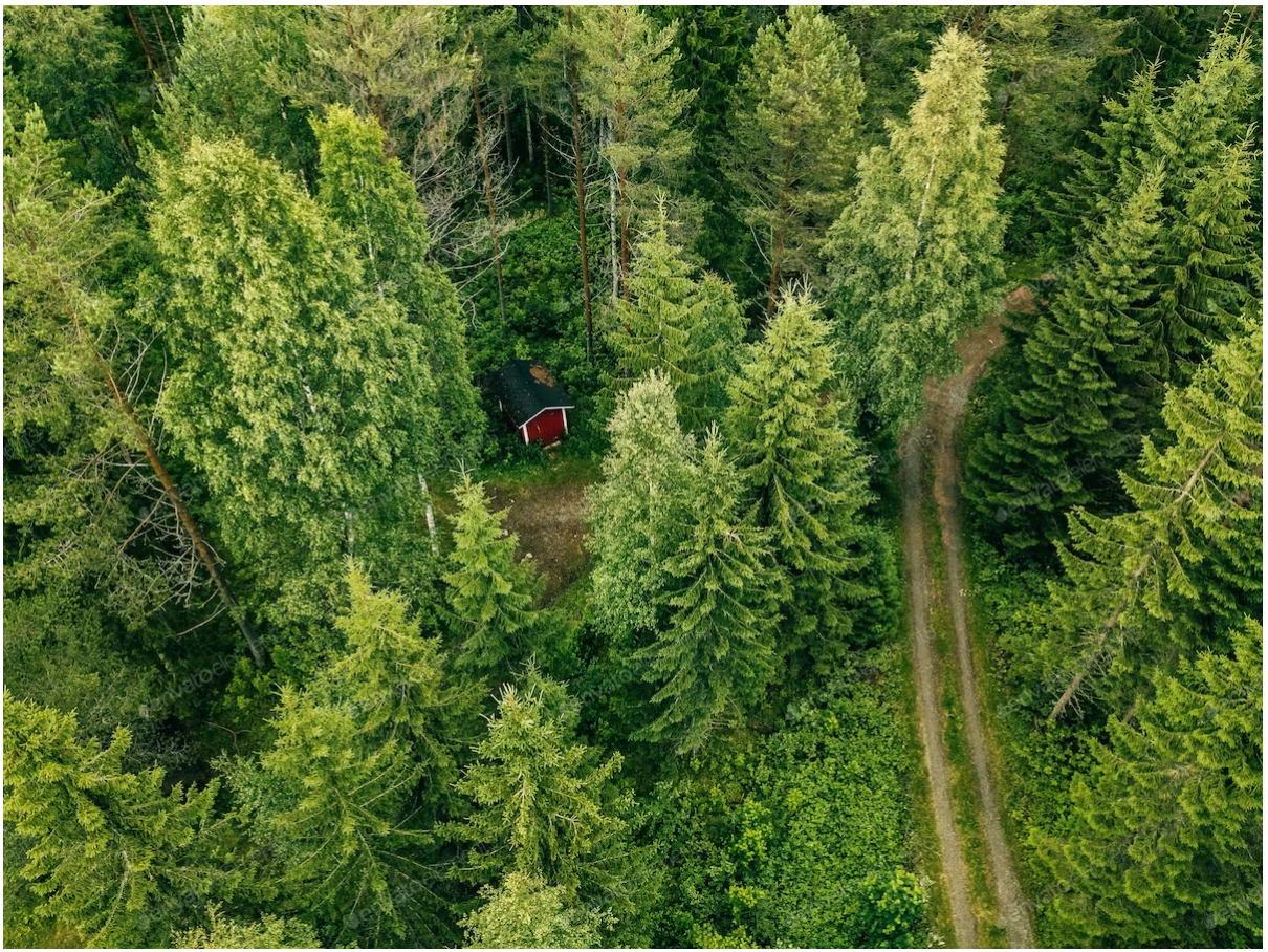 森林パトロール用ハンドヘルド監視システム