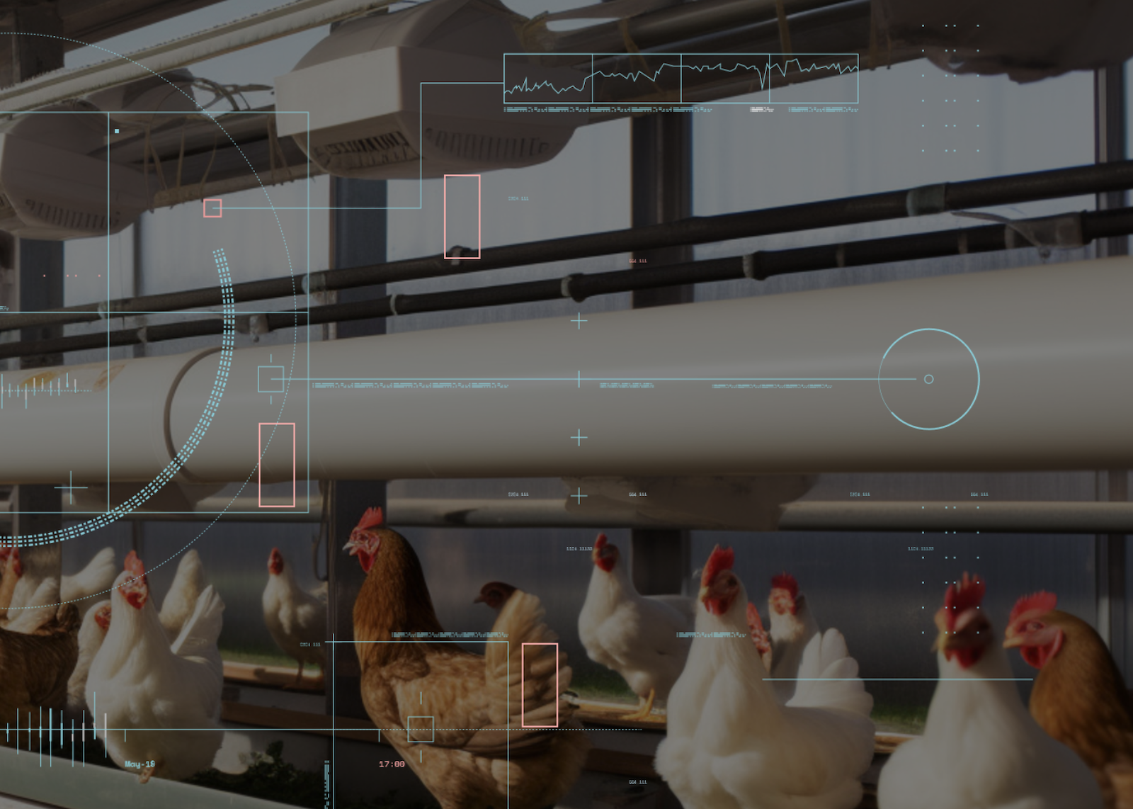 精密畜産・養鶏ソリューション